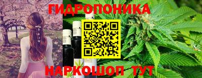 хмурый Можга