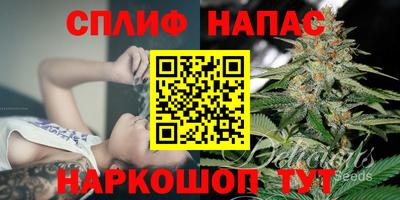 хмурый Можга